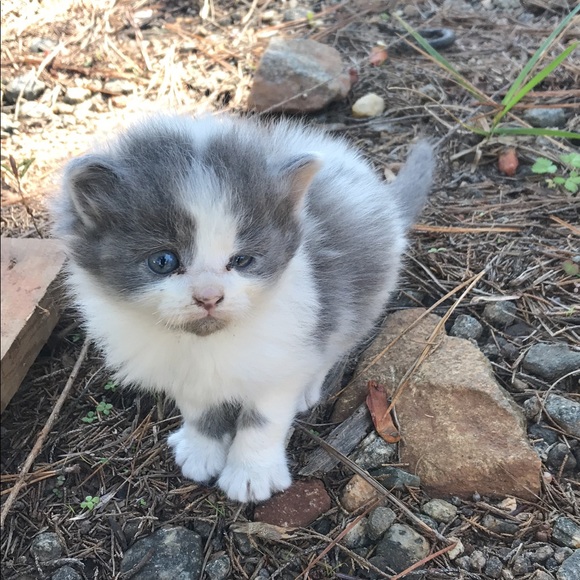 Meet your Posher, James - Picture 1 of 1